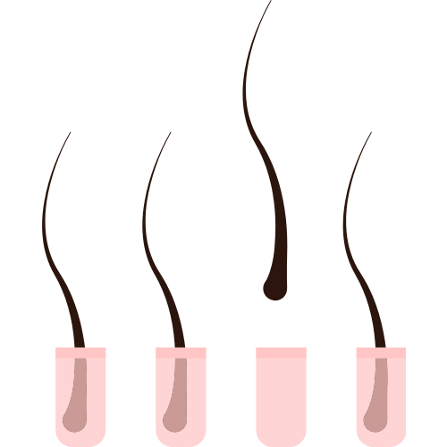 毛のイラスト